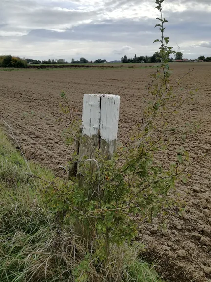 Galgebossen (Poperinge, Elverdinge, Vlamertinge) (Belgie)